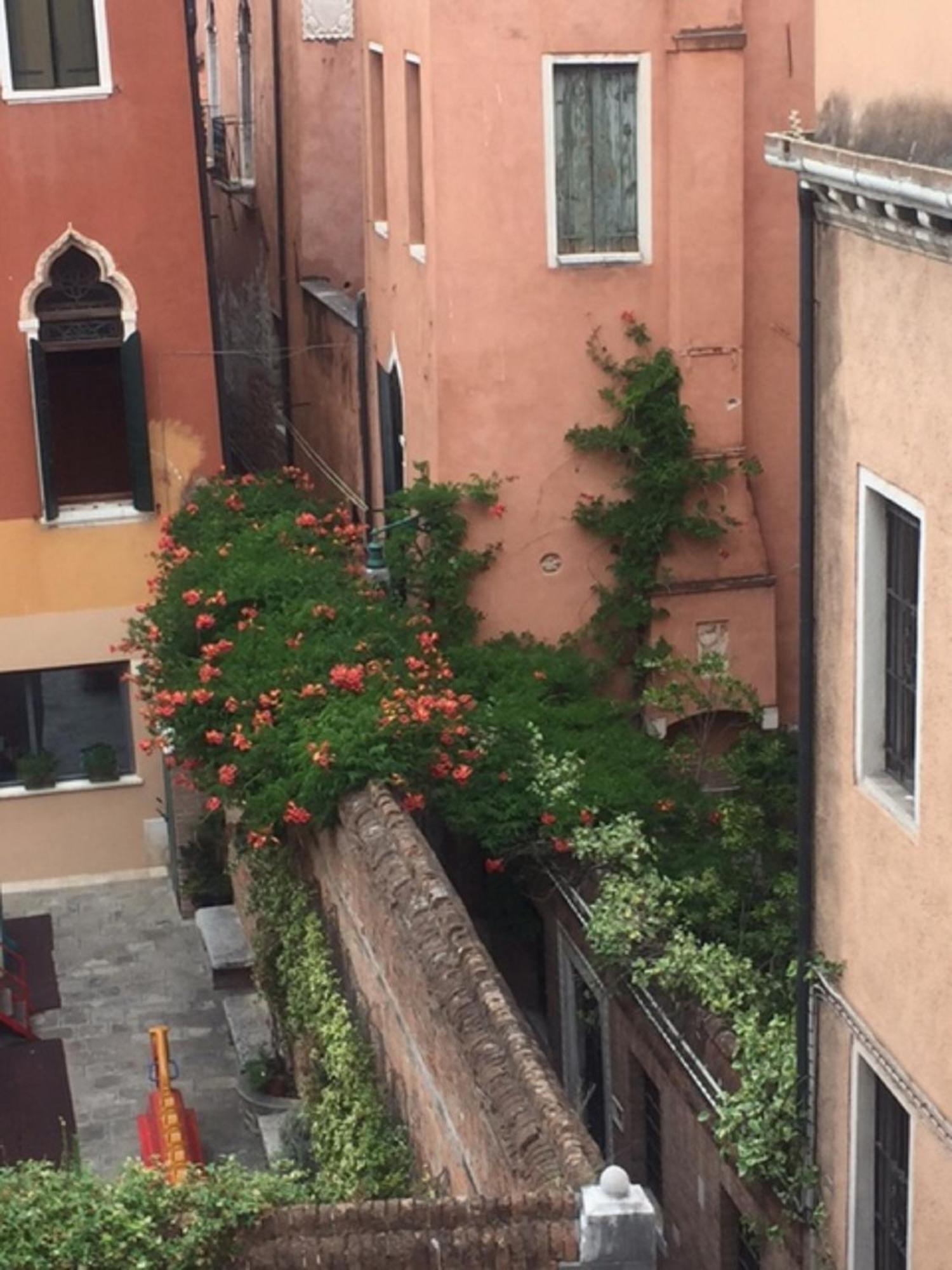 Appartamento Palace Tintoretto *
